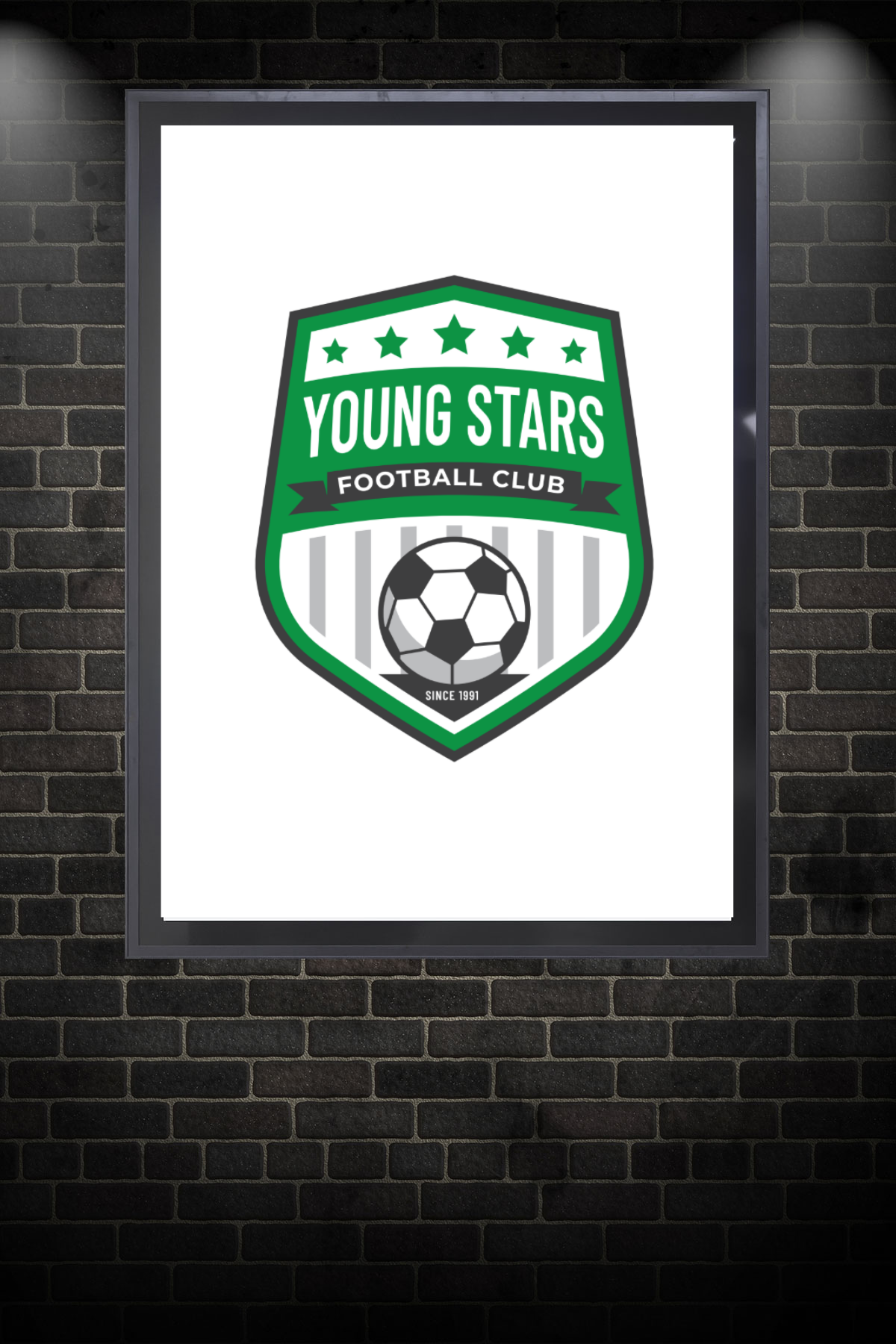 Young Stars